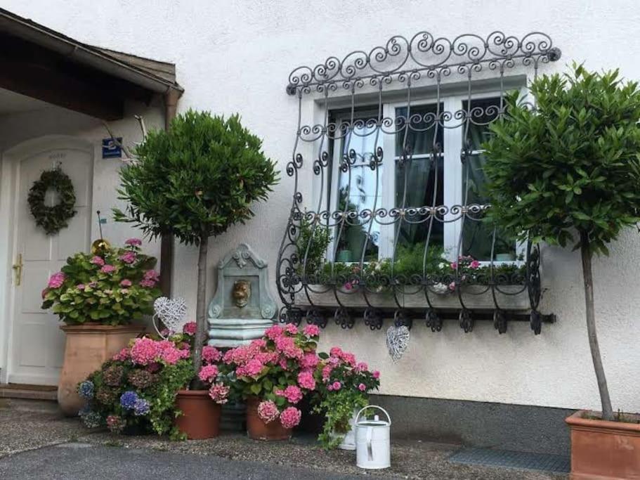Dachwohnung Mit Seeblick Altmünster Екстериор снимка